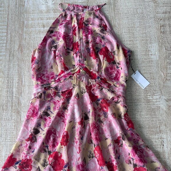 Floret Studios Floral Ruffle Waist Chiffon Dress Pink/Red/Beige Floral XL NWT - Picture 3 of 11